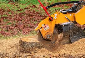 Best Lawn Maintenance Plans  in Leilani Estates, HI